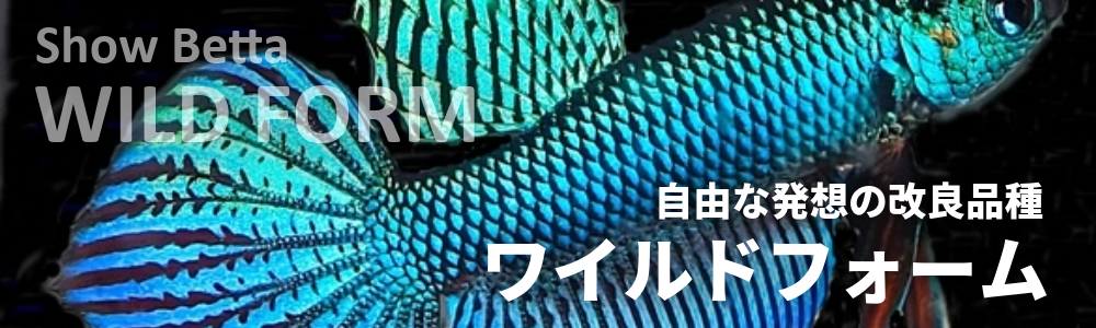 ワイルドフォーム